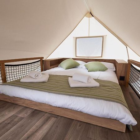 Europarcs Reestervallei IJhorst Bagian luar foto